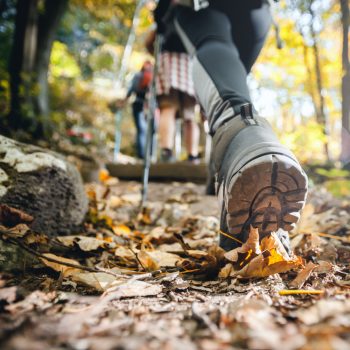 Wandergruppe im Wald: Mit vorbeugenden Tipps und Maßnahmen ist Sport wieder ohne Sodbrennen möglich.